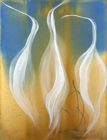 Egrets